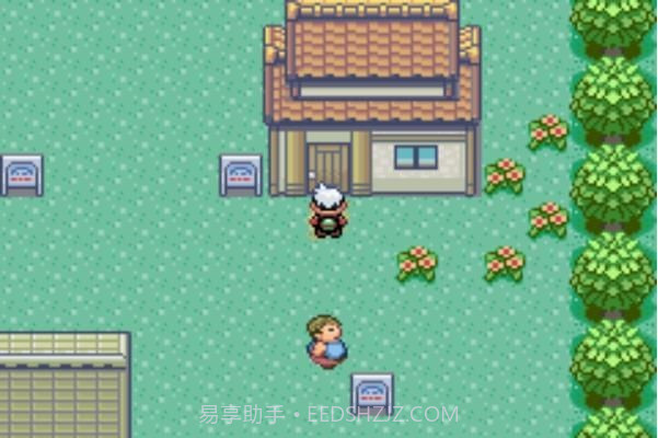 口袋妖怪究极绿宝石3截图1